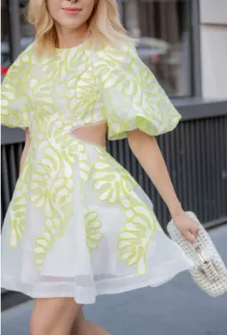 Aje Botanical Applique Mini Dress Ivory/Citrus Yellow Size 12 / L for rent on The Volte - image 5