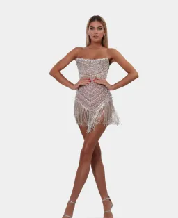 Albina Dyla Wild Corset Short Dress Silver/Nude Size 6 for rent on The Volte - image 3