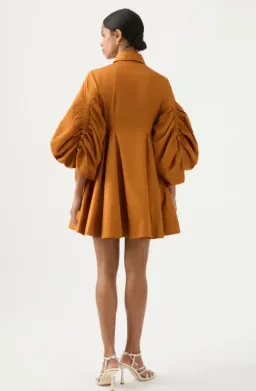 Aje Utopia Drawstring Mini Dress Chestnut Brown Size 8 / S for rent on The Volte - image 3