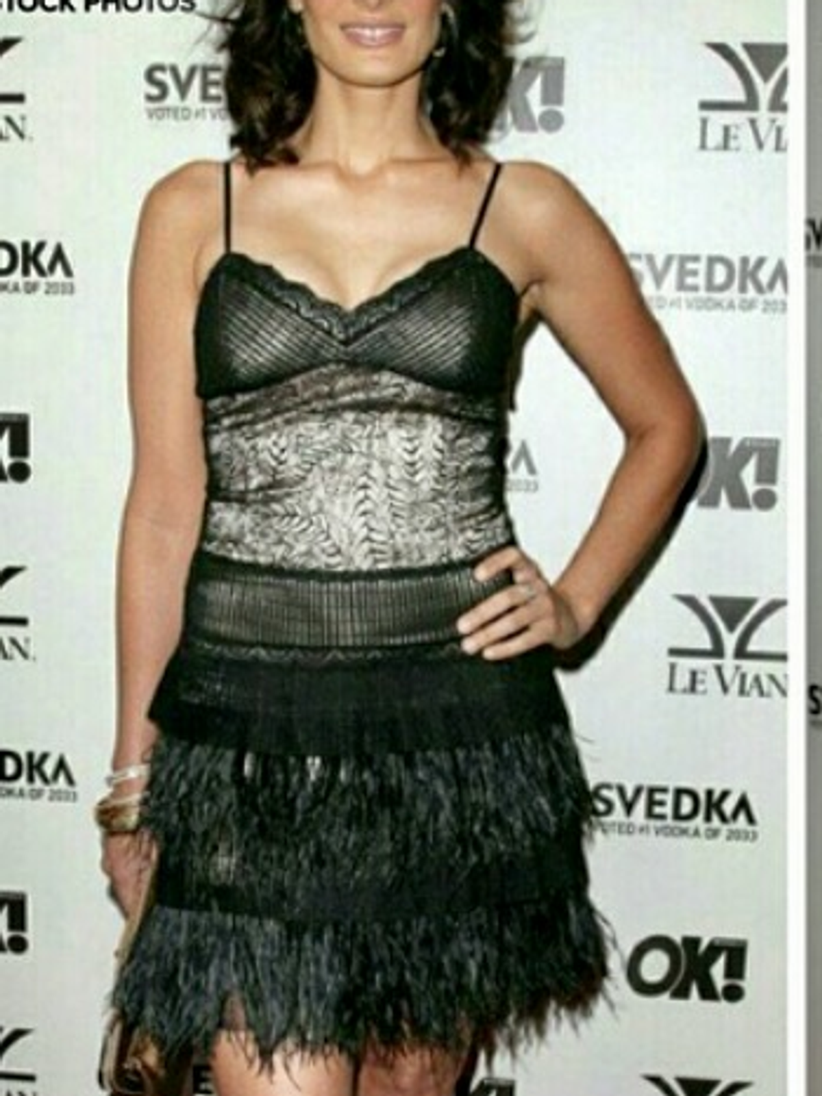 BCBGMAXAZRIA Lace and Ostrich Feather Flapper Style size 6 - Image 1