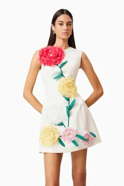 Elliat - Buttercup Embroidered Mini Dress in Ivory - Size M (10) for rent on The Volte - image 5