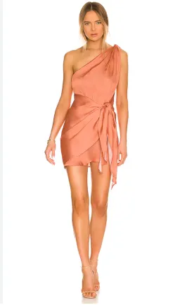 BAOBAB Marea Mini Dress Blossom XS/Au 6 for rent on The Volte - image 3