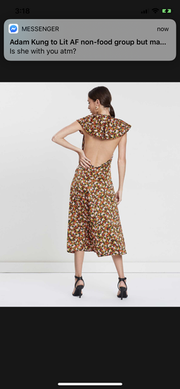 Bec & Bridge New Romantics Midi Dress Size 12 for rent on The Volte - image 3