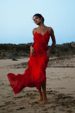 Rat & Boa Cecelia Maxi Dress Red Size 6 for rent on The Volte - image 5