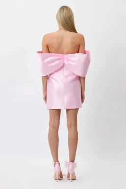 Bianca and Bridgett Eden Mini Dress Pink Size 8 for rent on The Volte - image 4