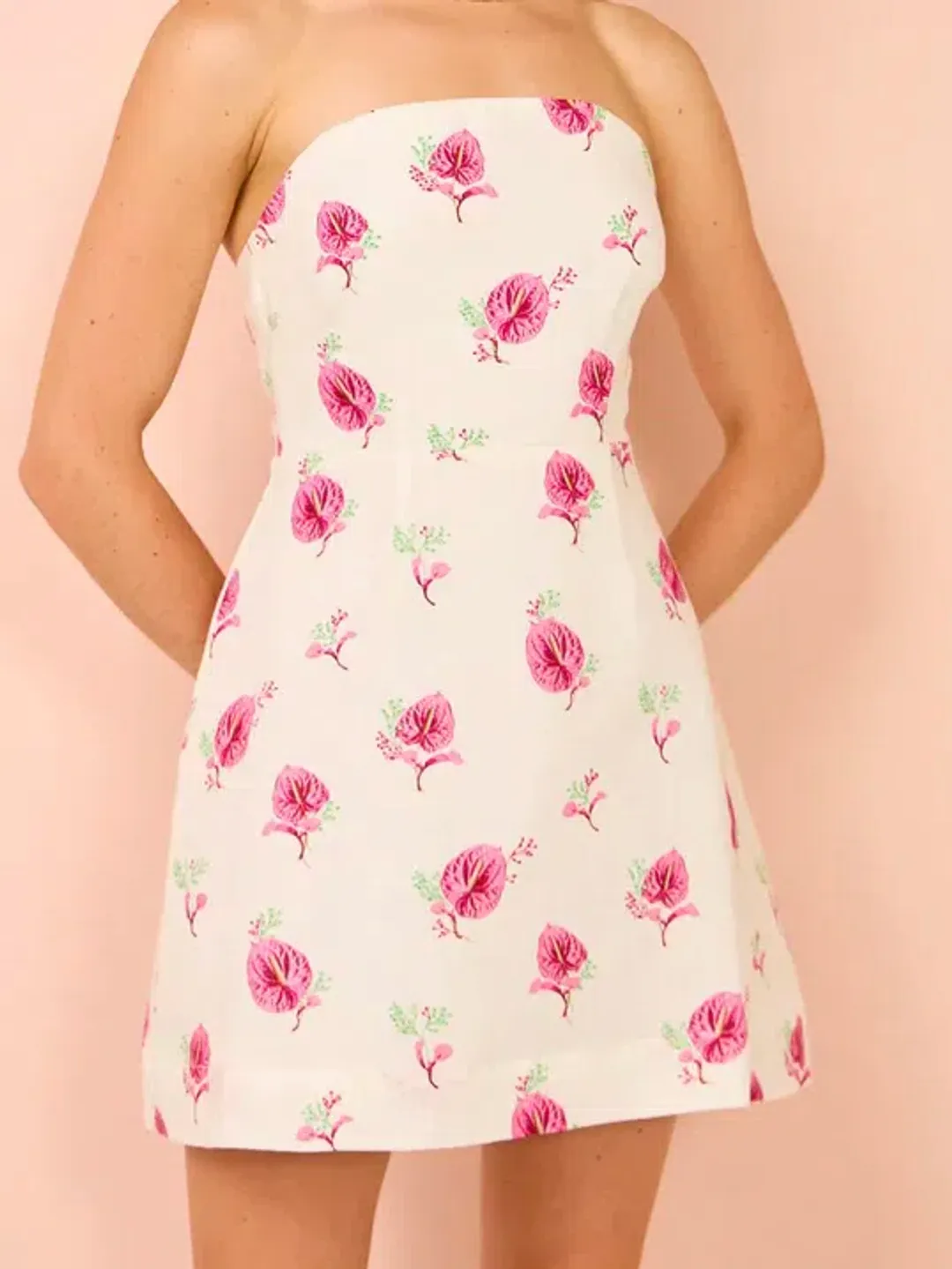 Aston Studio Beatrix Mini Dress In Arisa Anthurium Size 8 for rent on The Volte - main image
