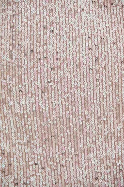 Winona Kiama Backless Sparkle Party Mini Dress Sequin Size XS / AU 6 for rent on The Volte - image 6