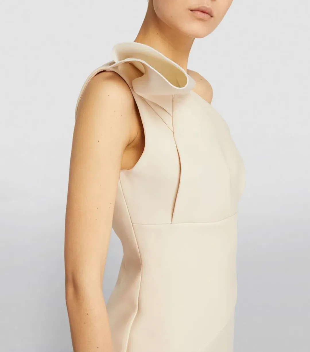 Rachel Gilbert Miche Midi Dress Beige Size 0 / AU 6 for rent on The Volte - main image