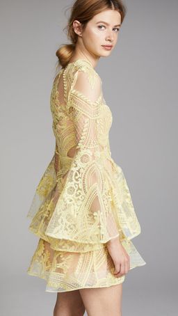 Thurley Chameleon Mini Dress for rent on The Volte - image 3