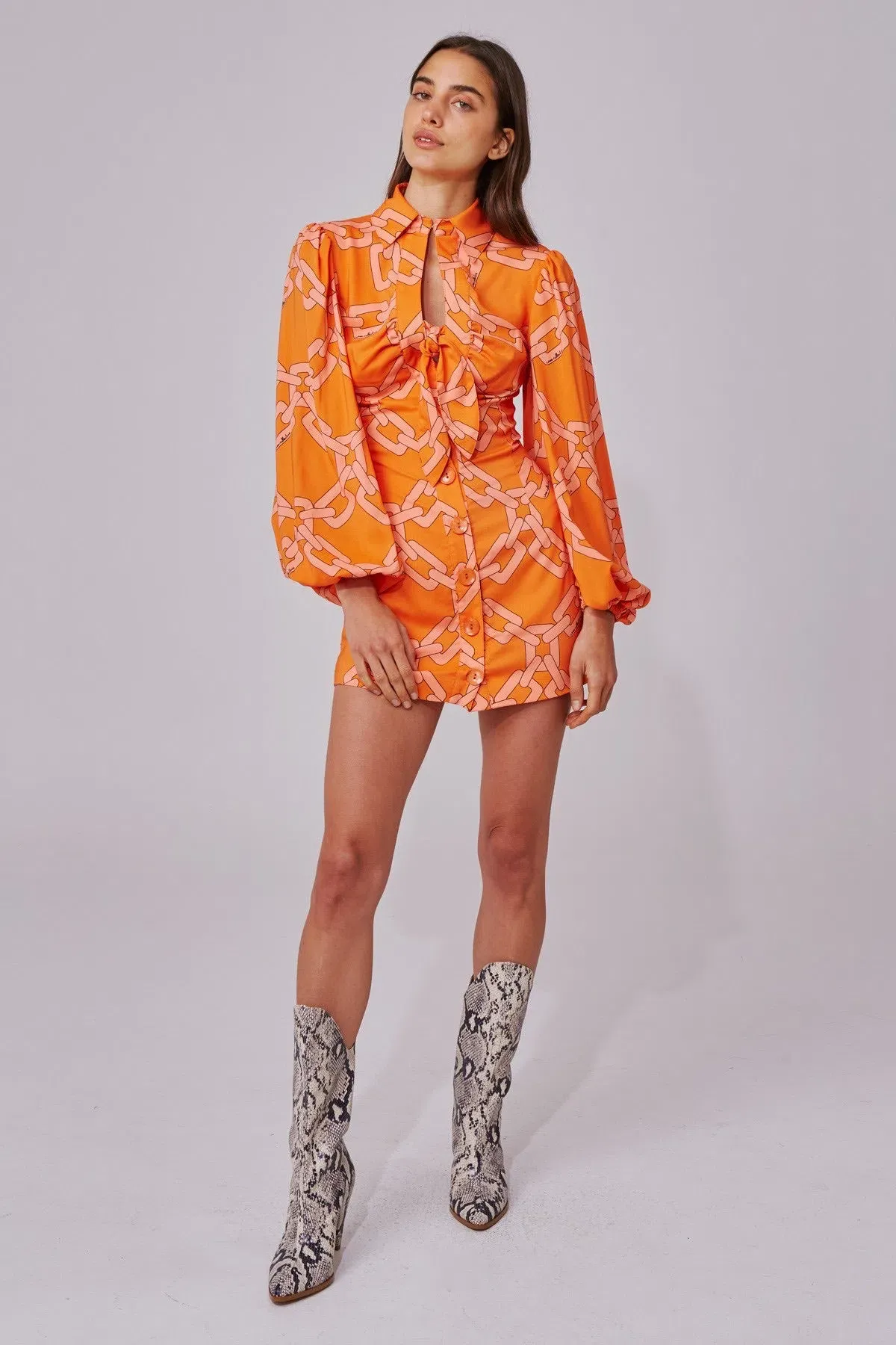 C/MEO Collective Mornings Mini Dress Tangerine Chain Size S / AU 8 for rent on The Volte - main image