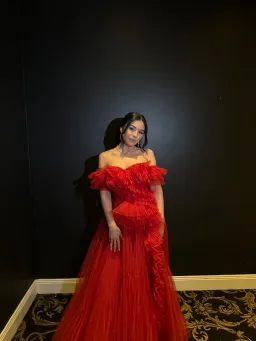 Tarik Ediz Patrice Tulle Gown Red Size 8 for rent on The Volte - image 1