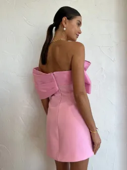 Rachel Gilbert Kace Mini Dress Pink Size 6 for rent on The Volte - image 3