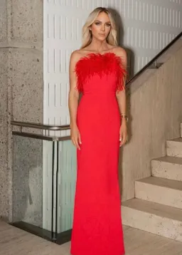 Rebecca Vallance Scarlett Strapless Feather Gown Red Size 6  for rent on The Volte - image 4
