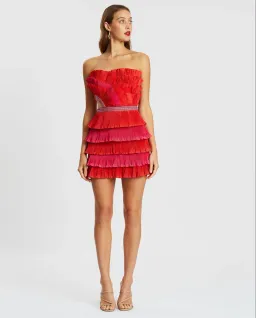  Eliya the Label Maryanne Mini Dress Red and Pink Size XS for rent on The Volte - image 1