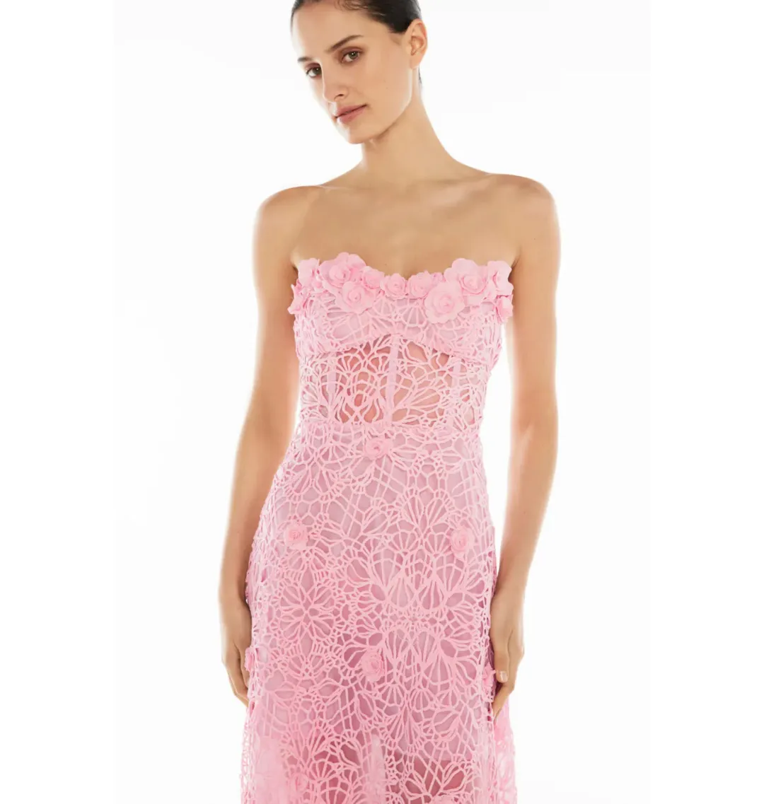 Manning Cartell Tea Ceremony Maxi Dress Pink Size AU 14   for rent on The Volte - main image