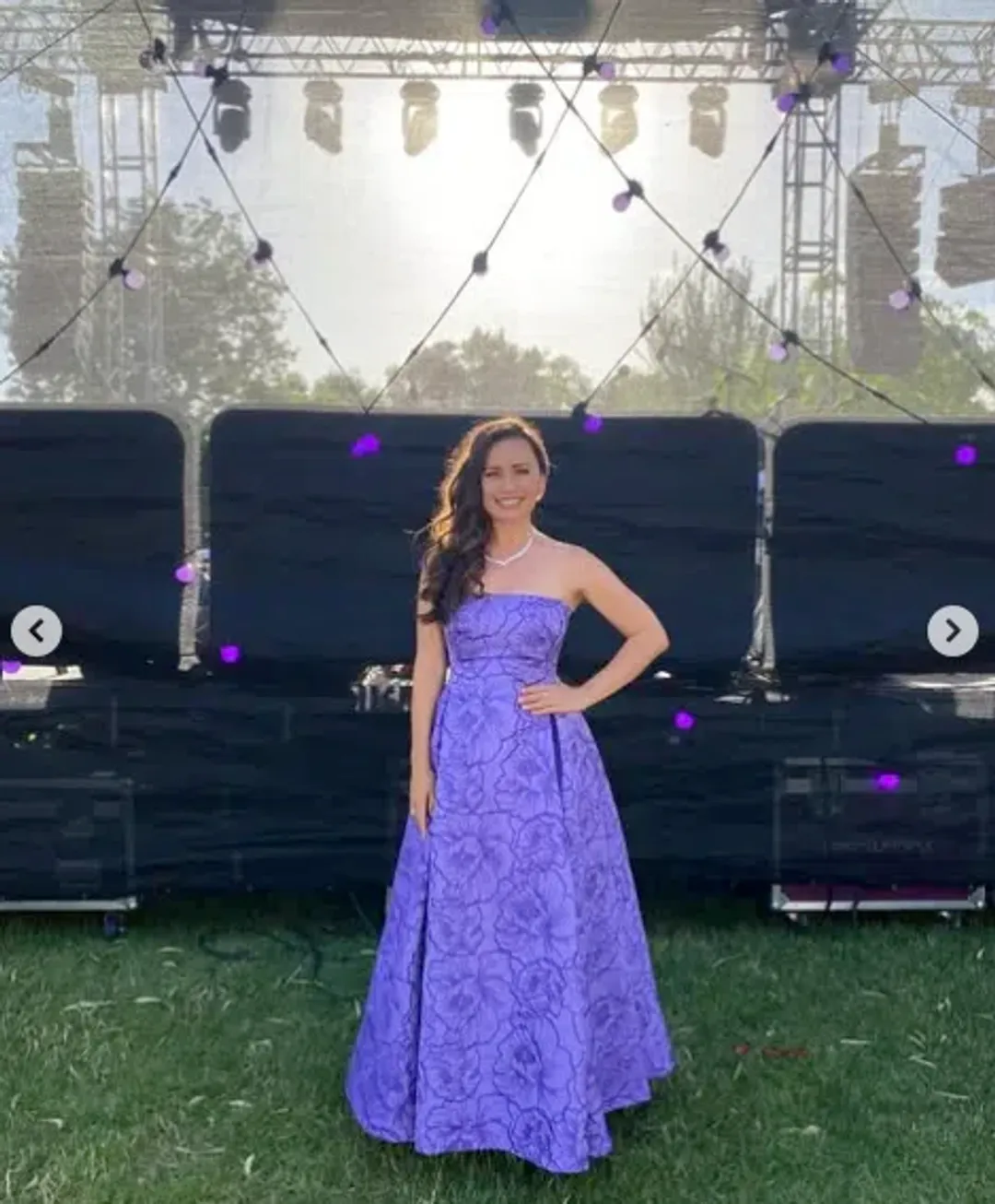 Leo Lin Nora Bustier Maxi Dress in Lavender Size AU 16 for rent on The Volte - main image