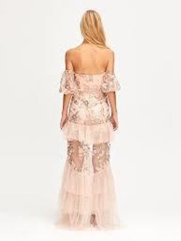 Sweet Little Mystery Gown for rent on The Volte - image 2