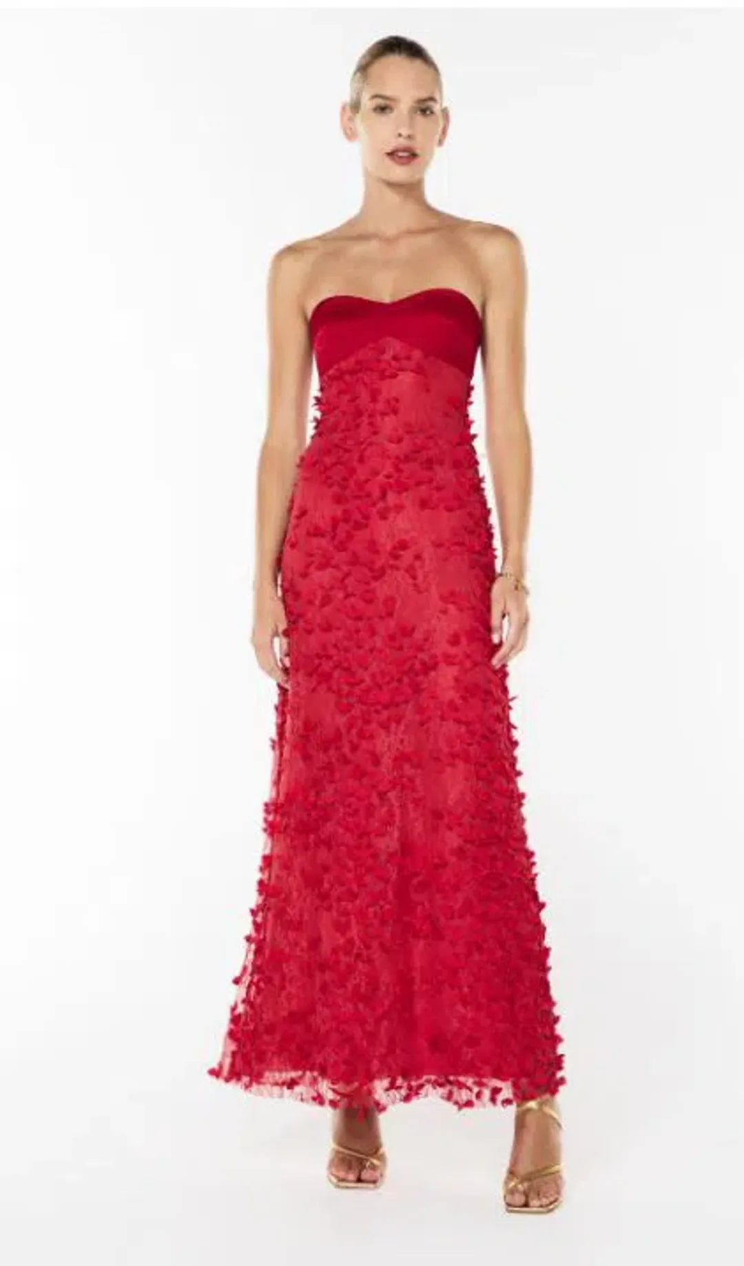 Manning Cartell Enchantment Balconette Gown in Scarlet Red Size 10 for rent on The Volte - main image