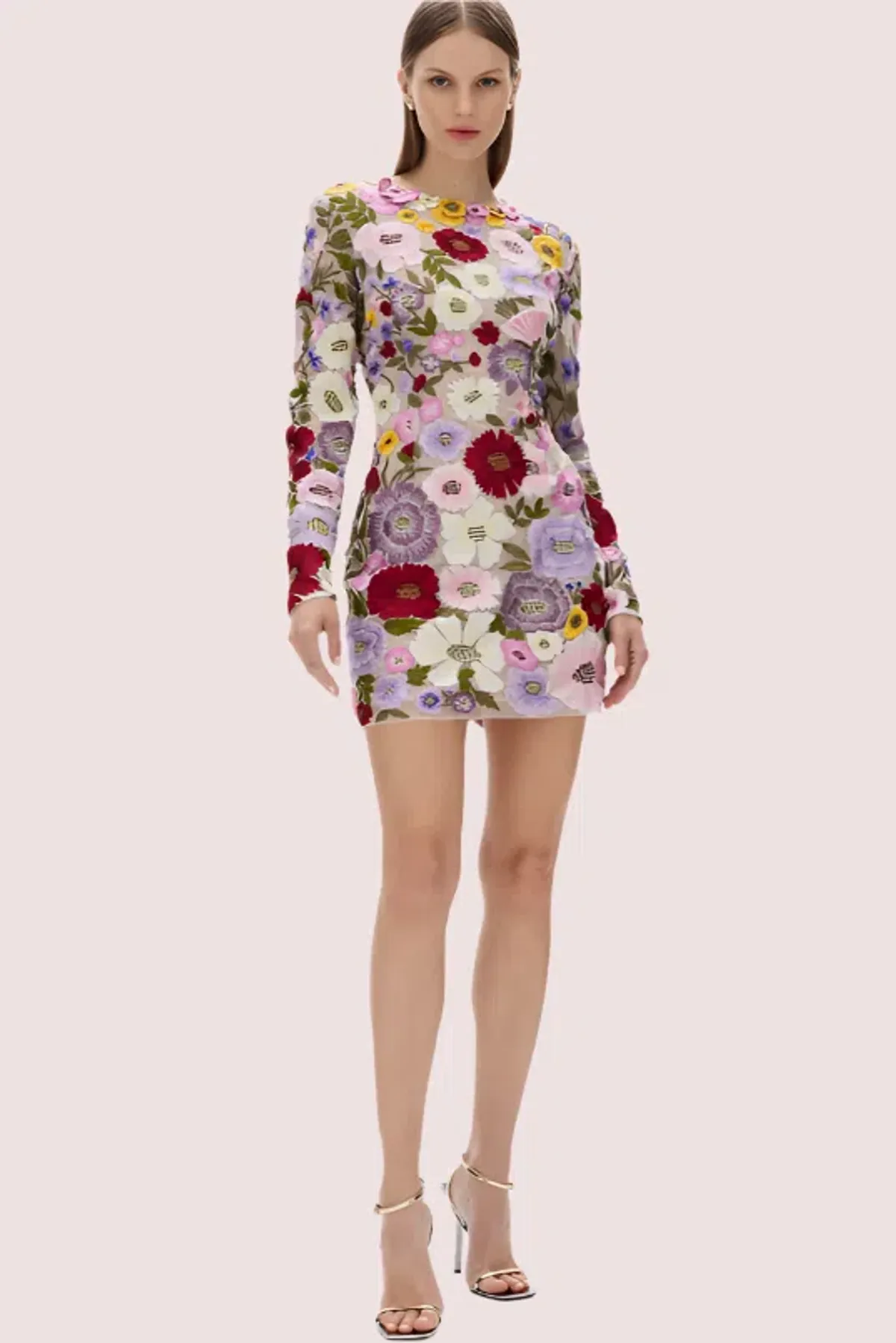 Rachel Gilbert Nya Mini Dress Floral Size 8 for rent on The Volte - main image