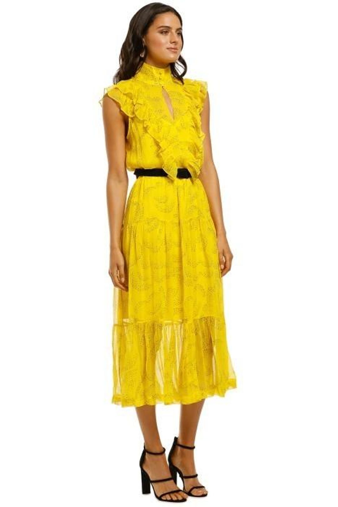 Husk Mirage Dress size 14 for rent on The Volte - main image