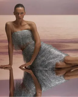 Scanlan Theodore Tinsel Bustier and Midi Skirt Silver Size AU 8 for rent on The Volte - image 2