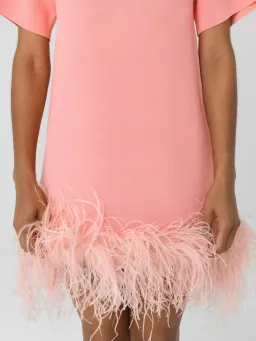 Rachel Gilbert Rita Mini Dress in Pink Size AU10 for rent on The Volte - image 5