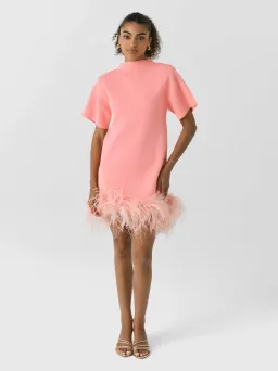 Rachel Gilbert Rita Mini Dress in Pink Size AU10 for rent on The Volte - image 1