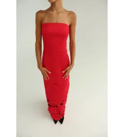 Leo Lin Rayna Appliqué Bustier Maxi Dress in Rosa Size AU10 for rent on The Volte - image 4