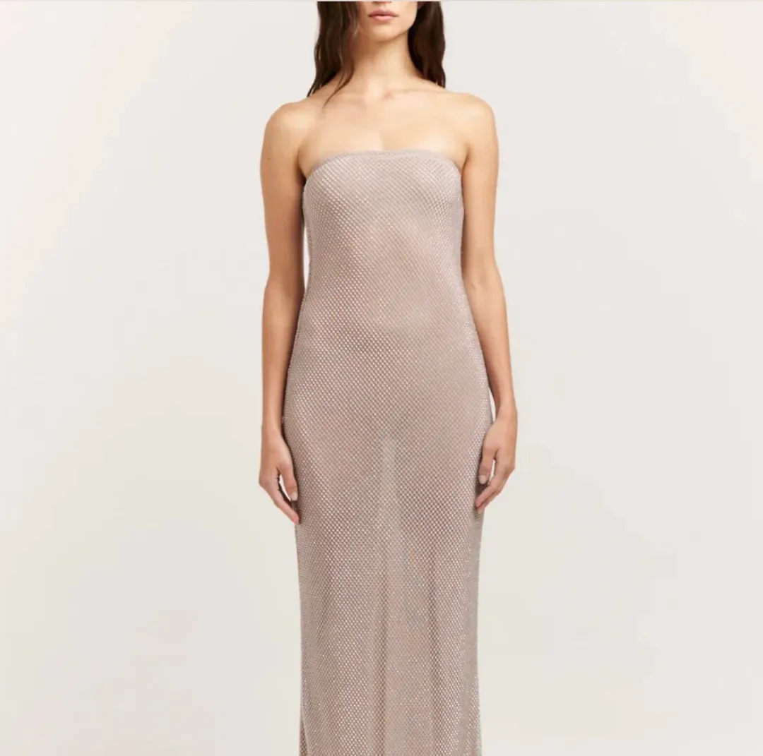 Henne Carmine Maxi Dress in Glimmer Size 2XS/XS (AU 6) for rent on The Volte - main image