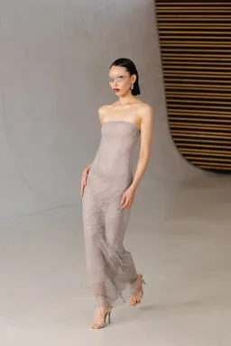 Henne Carmine Maxi Dress in Glimmer Size 2XS/XS (AU 6) for rent on The Volte - image 1