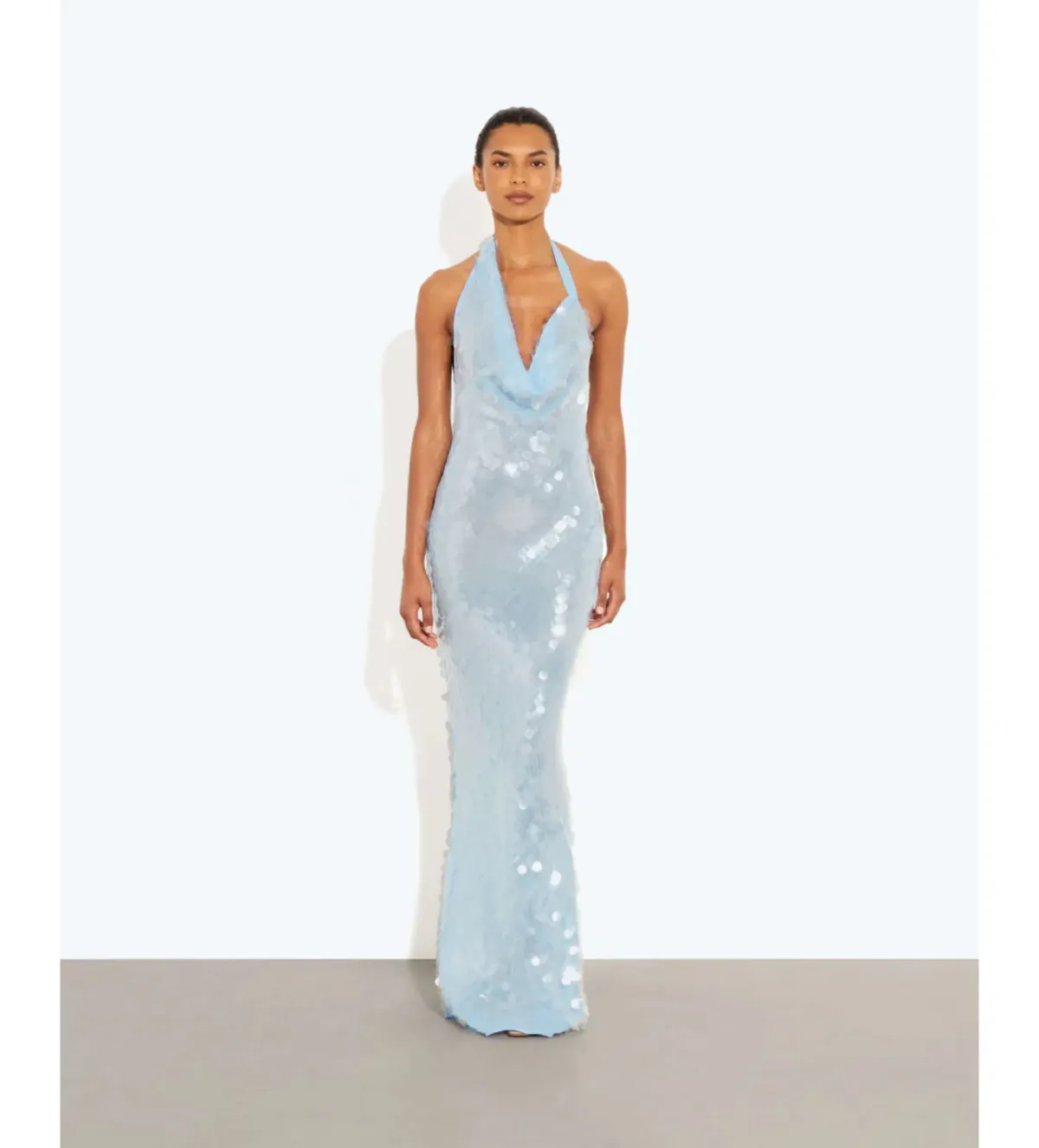 Rat and Boa Anais Maxi Dress in Blue Size XS / AU 6 for rent on The Volte - main image