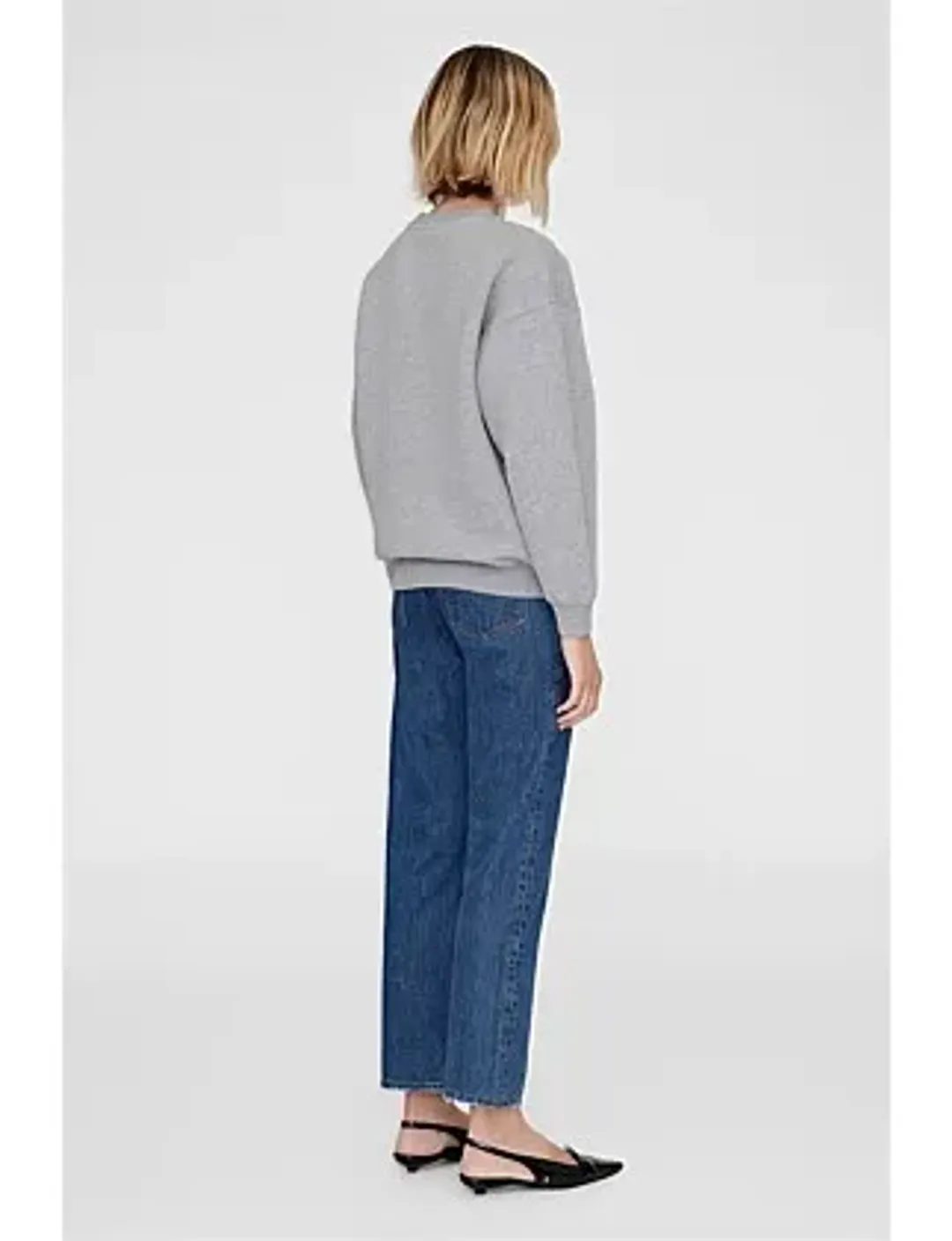 Anine Bing SPENCER CREWNECK SWEATSHIRT Size 8/XS for rent on The Volte - main image