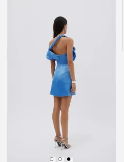 Rachel Gilbert Larna mini Dress Blue Size 10 for rent on The Volte - image 2