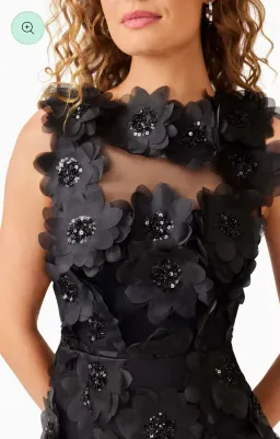 Elliatt Cherry Blossom Midi Beaded Black Size 10 for rent on The Volte - image 4