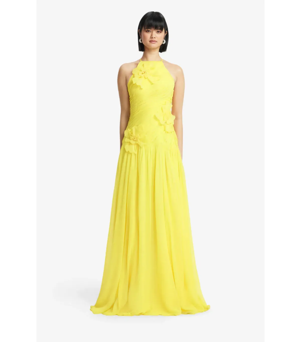 Leo Lin Amya Floral Appliqué Maxi Gown in Sunshine Size AU 10 for rent on The Volte - main image