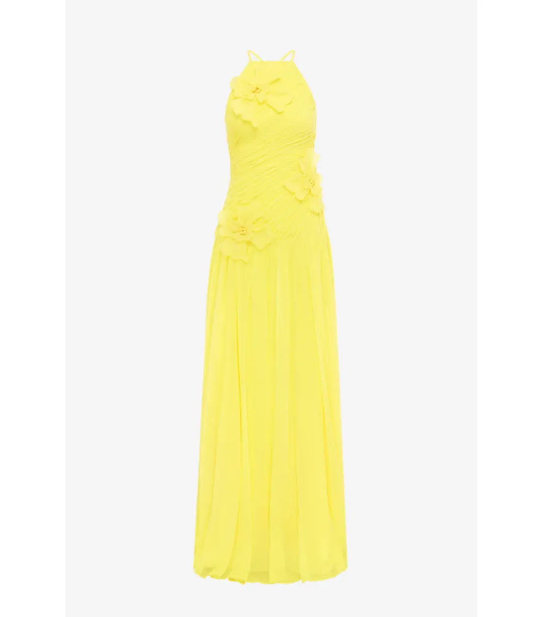 Leo Lin Amya Floral Appliqué Maxi Gown in Sunshine Size AU 10 for rent on The Volte - main image