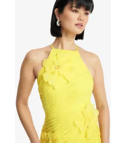 Leo Lin Amya Floral Appliqué Maxi Gown in Sunshine Size AU 8 for rent on The Volte - image 4