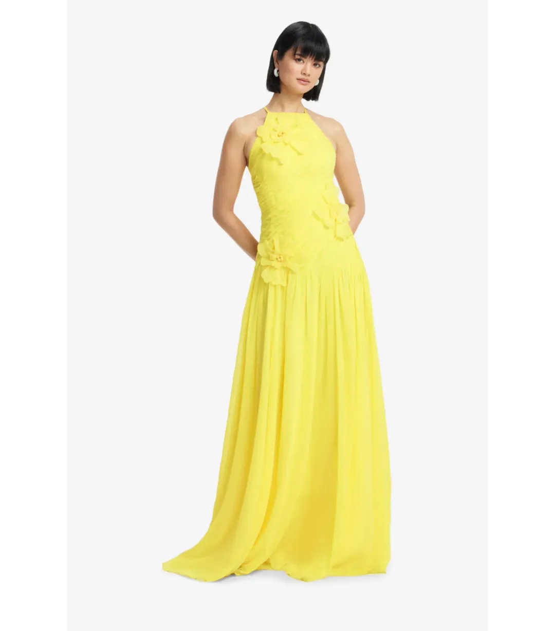 Leo Lin Amya Floral Appliqué Maxi Gown in Sunshine Size AU 8 for rent on The Volte - main image