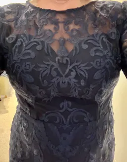 Formal Gown by Bariano Navy Lace 3/4 sleeves tapered length for rent on The Volte - image 2