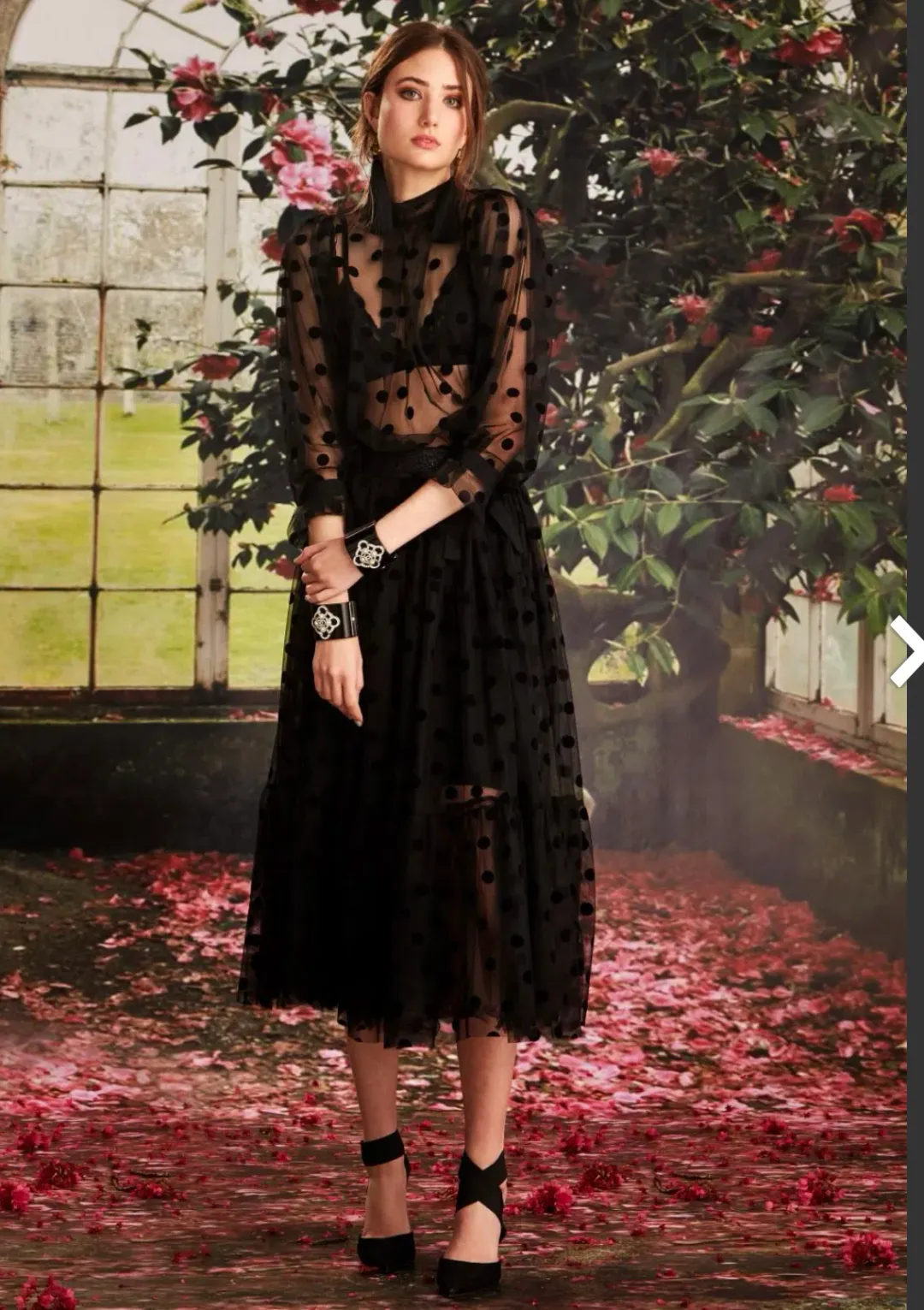 Trelise Cooper Tiers In The Stars Skirt Black Tulle Polka Dots Size L for rent on The Volte - main image