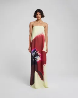Rat & Boa Antheia Dress Cream Print Size L / AU 12 for rent on The Volte - image 1