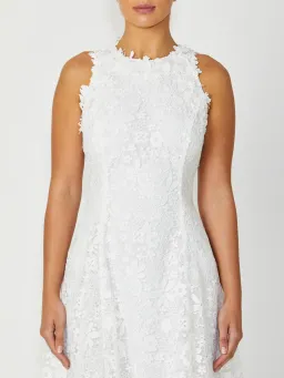 Anthea Crawford Virginia Lace Dress in Ivory Size 14  for rent on The Volte - image 3