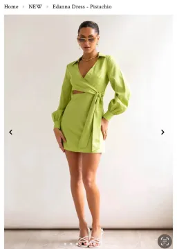 Edanna Dress - Pistachio  for rent on The Volte - image 1
