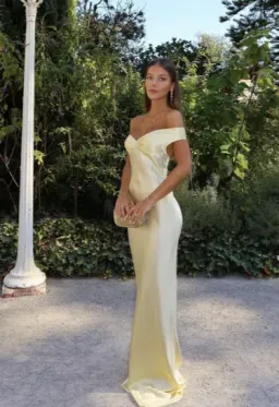 Natalie Rolt Bridget Gown Lemon Size 3 for rent on The Volte - image 2