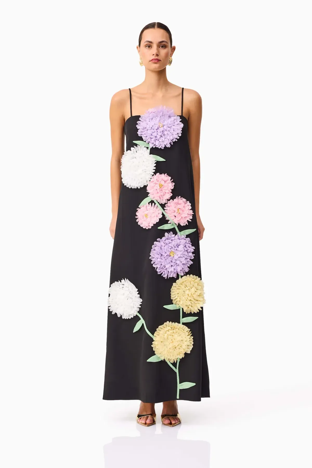 Elliatt Buttercup Embroidered Maxi Dress size 8 Black for rent on The Volte - main image
