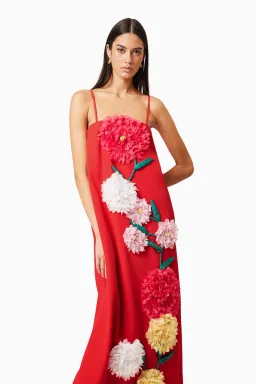 Buttercup Embroidered Maxi Dress In Red for rent on The Volte - image 3