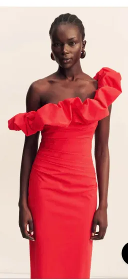 Shona Joy - Campbell Ruffle Draped Maxi Dress - Goji for rent on The Volte - image 5