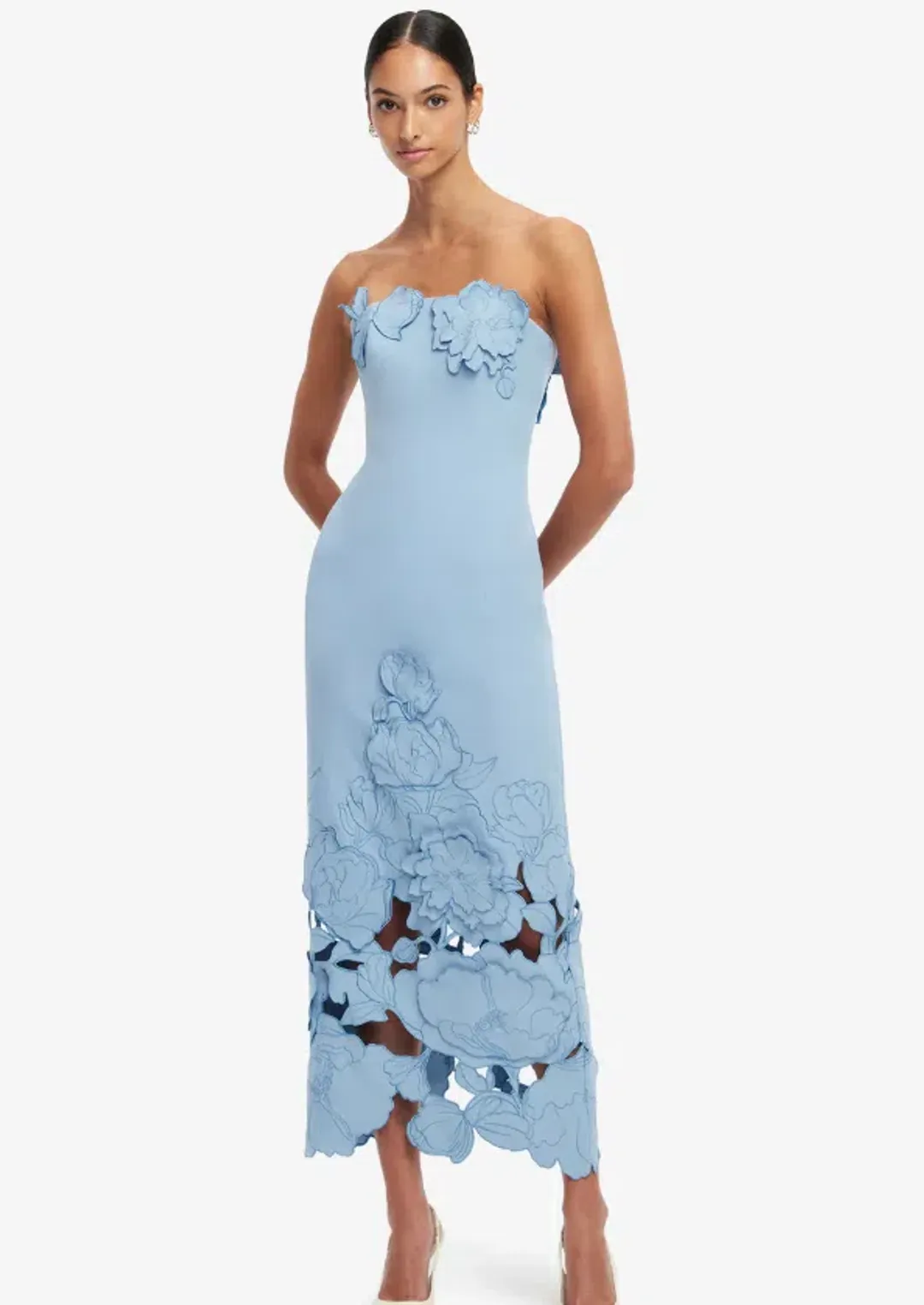 Leo Lin Rayna Appliqué Bustier Maxi Dress Light Blue - Size 12 for rent on The Volte - main image