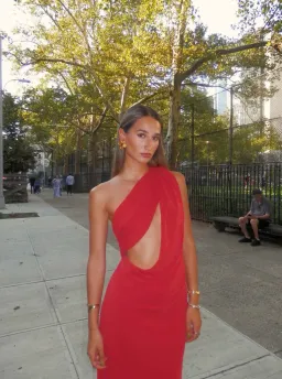 MISHA Collection The Solstice Cupro Dress in Cherry Red Size S / 8 AU for rent on The Volte - image 1