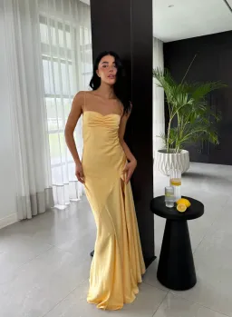 Hntr the label Gaia Gown gold sun size XS for rent on The Volte - image 2